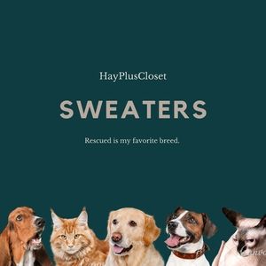 Sweater 🧥 category